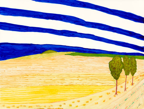 Late Summer Fields, McHenry County, North Dakota