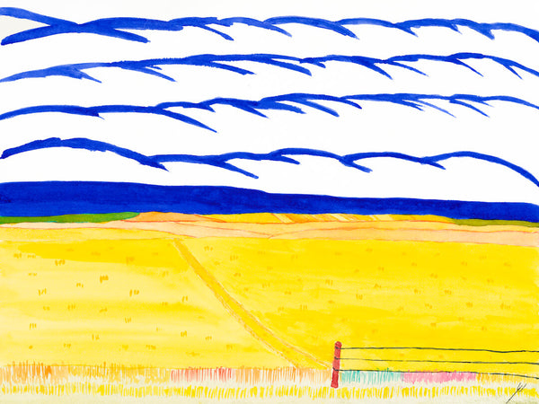 Road Across Fields, McLean County, North Dakota