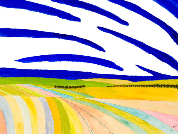 Road Through Colorful Fields, North Dakota