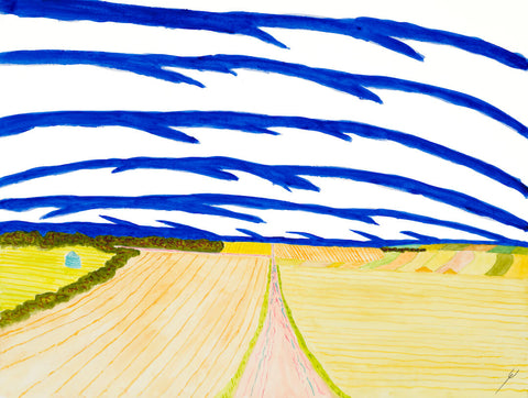 Road and Bright Fields, Oliver County, North Dakota