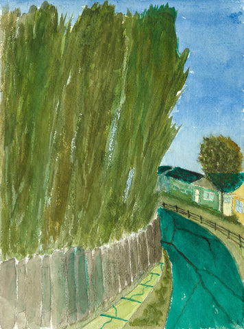 Bismarck Poplars
