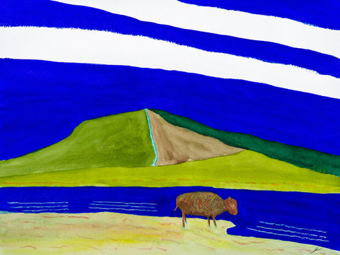 Bison on the Beach, Hanalei, Kaua'i
