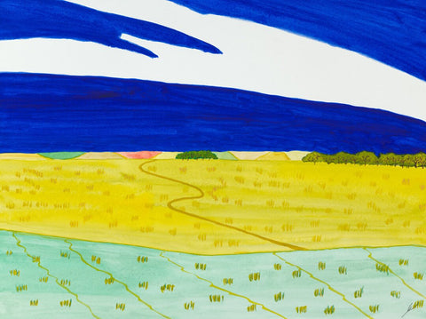 Bright Fields in Summer, North Dakota
