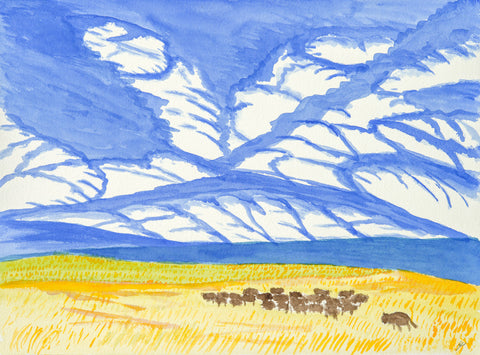 Buffalo Herd