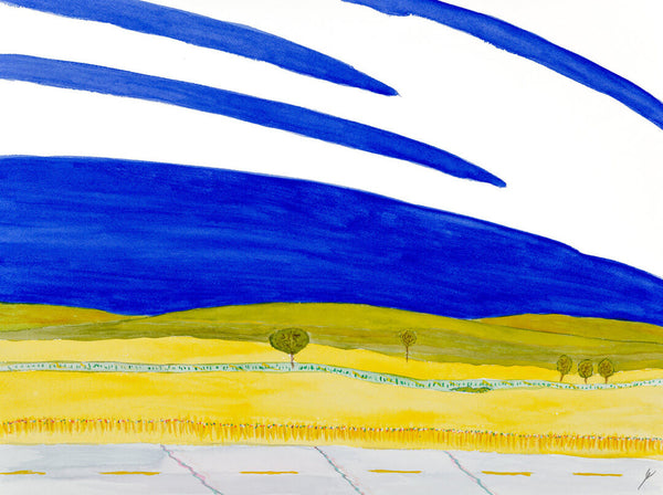 Canola Fields, Oliver County, North Dakota