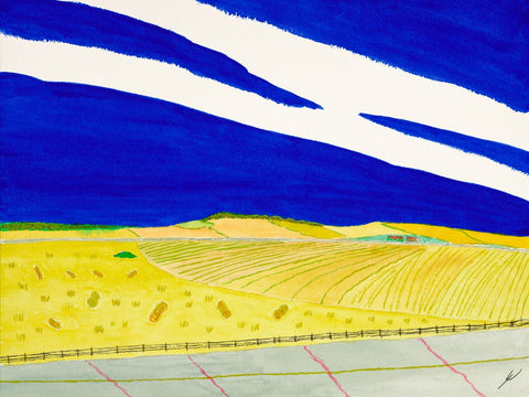 Late Summer Fields, North Dakota