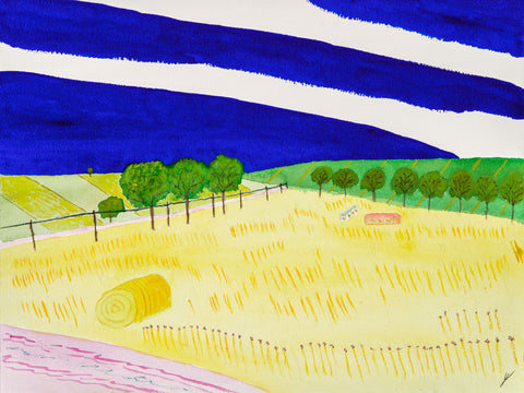 Late Summer Fields, North Dakota