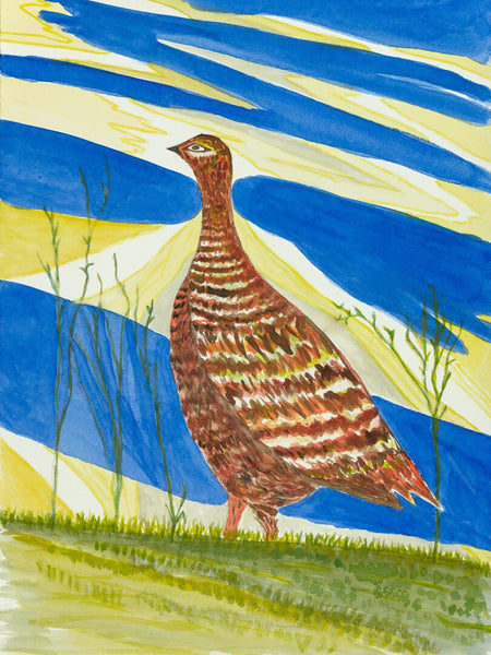 North Dakota Pheasant