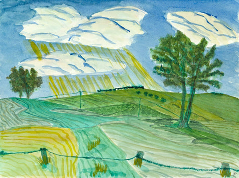 Sunlight Over Fields
