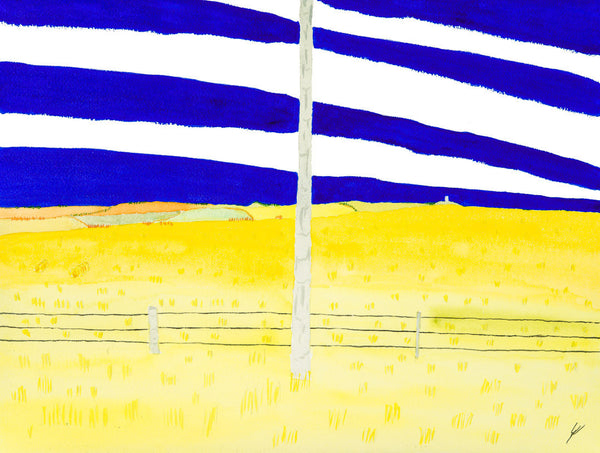 Telephone Pole and Fields, North Dakota
