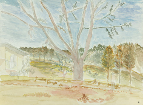 Tree in Autumn